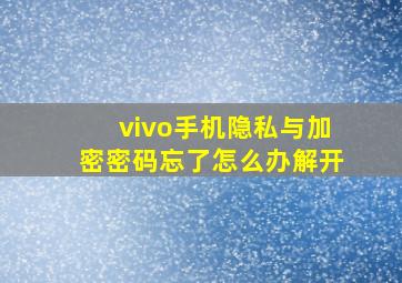 vivo手机隐私与加密密码忘了怎么办解开