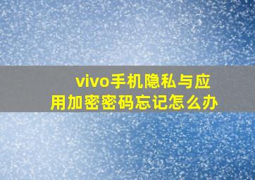 vivo手机隐私与应用加密密码忘记怎么办