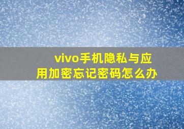 vivo手机隐私与应用加密忘记密码怎么办