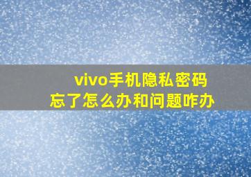 vivo手机隐私密码忘了怎么办和问题咋办