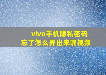 vivo手机隐私密码忘了怎么弄出来呢视频