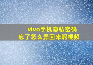 vivo手机隐私密码忘了怎么弄回来呢视频