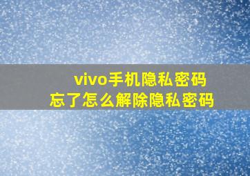 vivo手机隐私密码忘了怎么解除隐私密码