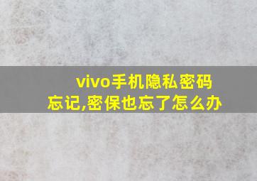 vivo手机隐私密码忘记,密保也忘了怎么办