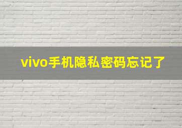 vivo手机隐私密码忘记了