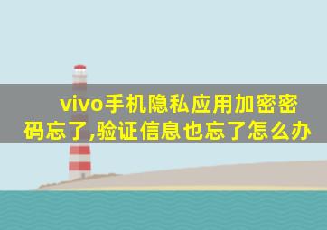 vivo手机隐私应用加密密码忘了,验证信息也忘了怎么办