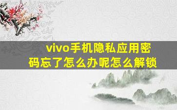 vivo手机隐私应用密码忘了怎么办呢怎么解锁