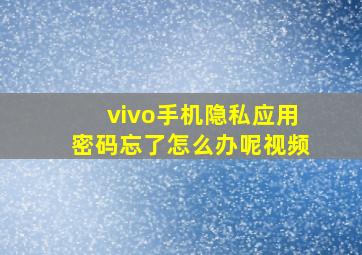 vivo手机隐私应用密码忘了怎么办呢视频