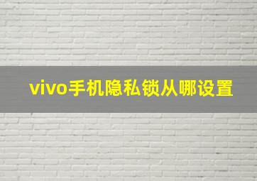 vivo手机隐私锁从哪设置