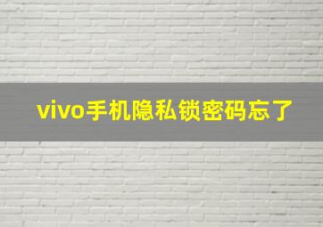 vivo手机隐私锁密码忘了