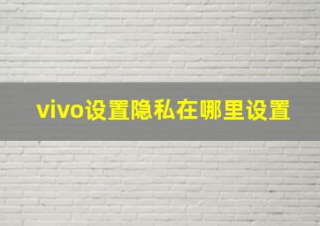 vivo设置隐私在哪里设置