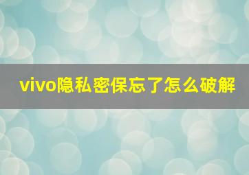 vivo隐私密保忘了怎么破解