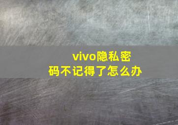 vivo隐私密码不记得了怎么办