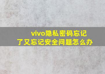 vivo隐私密码忘记了又忘记安全问题怎么办