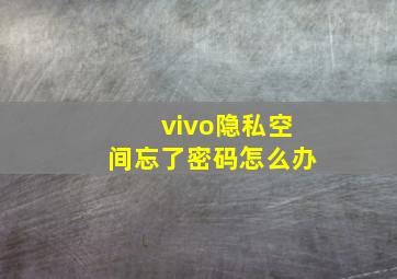 vivo隐私空间忘了密码怎么办