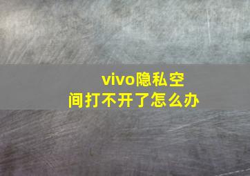 vivo隐私空间打不开了怎么办