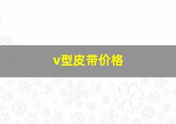 v型皮带价格