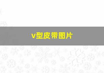 v型皮带图片