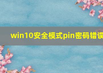 win10安全模式pin密码错误