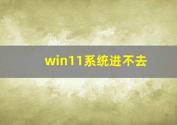 win11系统进不去