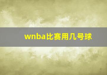 wnba比赛用几号球