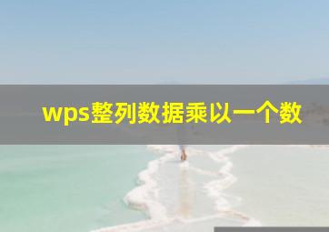 wps整列数据乘以一个数