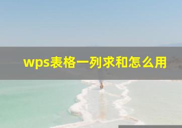 wps表格一列求和怎么用