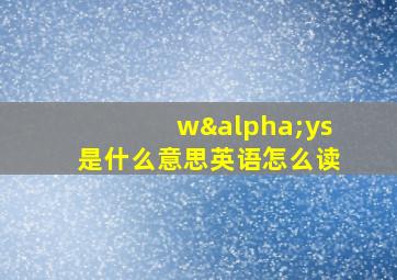 wαys是什么意思英语怎么读