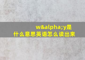 wαy是什么意思英语怎么读出来