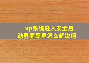 xp系统进入安全启动界面黑屏怎么解决啊