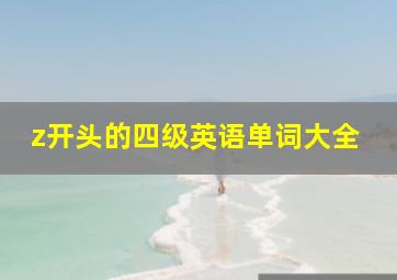 z开头的四级英语单词大全