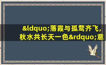 “落霞与孤鹜齐飞,秋水共长天一色”意思