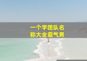 一个字团队名称大全霸气男