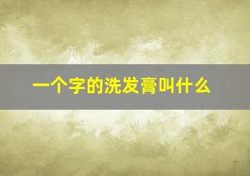 一个字的洗发膏叫什么