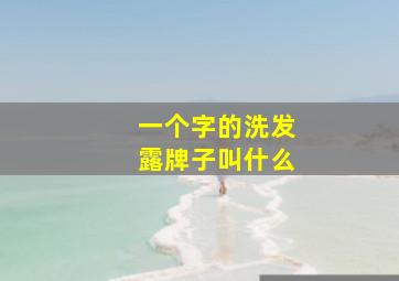 一个字的洗发露牌子叫什么