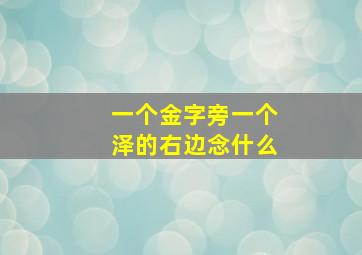 一个金字旁一个泽的右边念什么