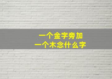 一个金字旁加一个木念什么字