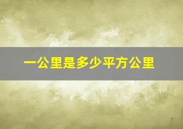 一公里是多少平方公里