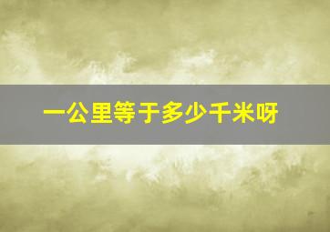 一公里等于多少千米呀