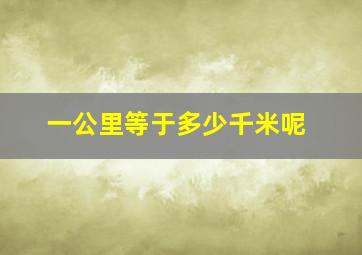 一公里等于多少千米呢