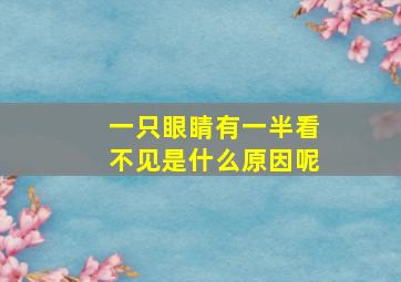 一只眼睛有一半看不见是什么原因呢