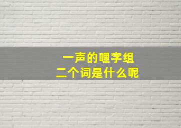 一声的哩字组二个词是什么呢