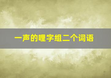 一声的哩字组二个词语