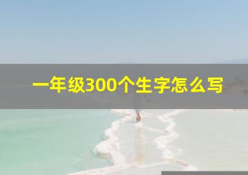 一年级300个生字怎么写