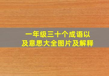 一年级三十个成语以及意思大全图片及解释