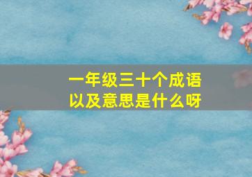 一年级三十个成语以及意思是什么呀