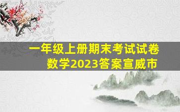 一年级上册期末考试试卷数学2023答案宣威市