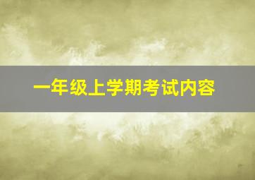 一年级上学期考试内容