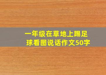 一年级在草地上踢足球看图说话作文50字