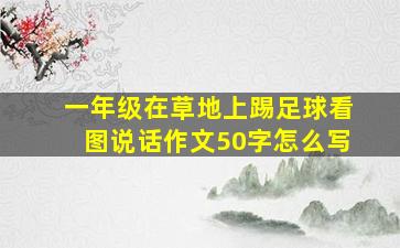 一年级在草地上踢足球看图说话作文50字怎么写